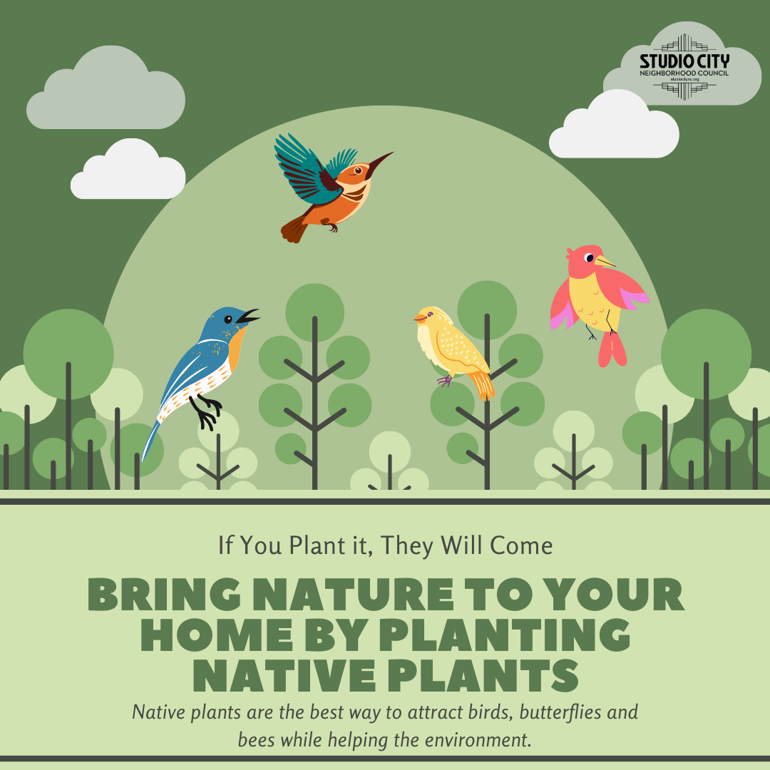 Sustainability Saturday :: Native Plants