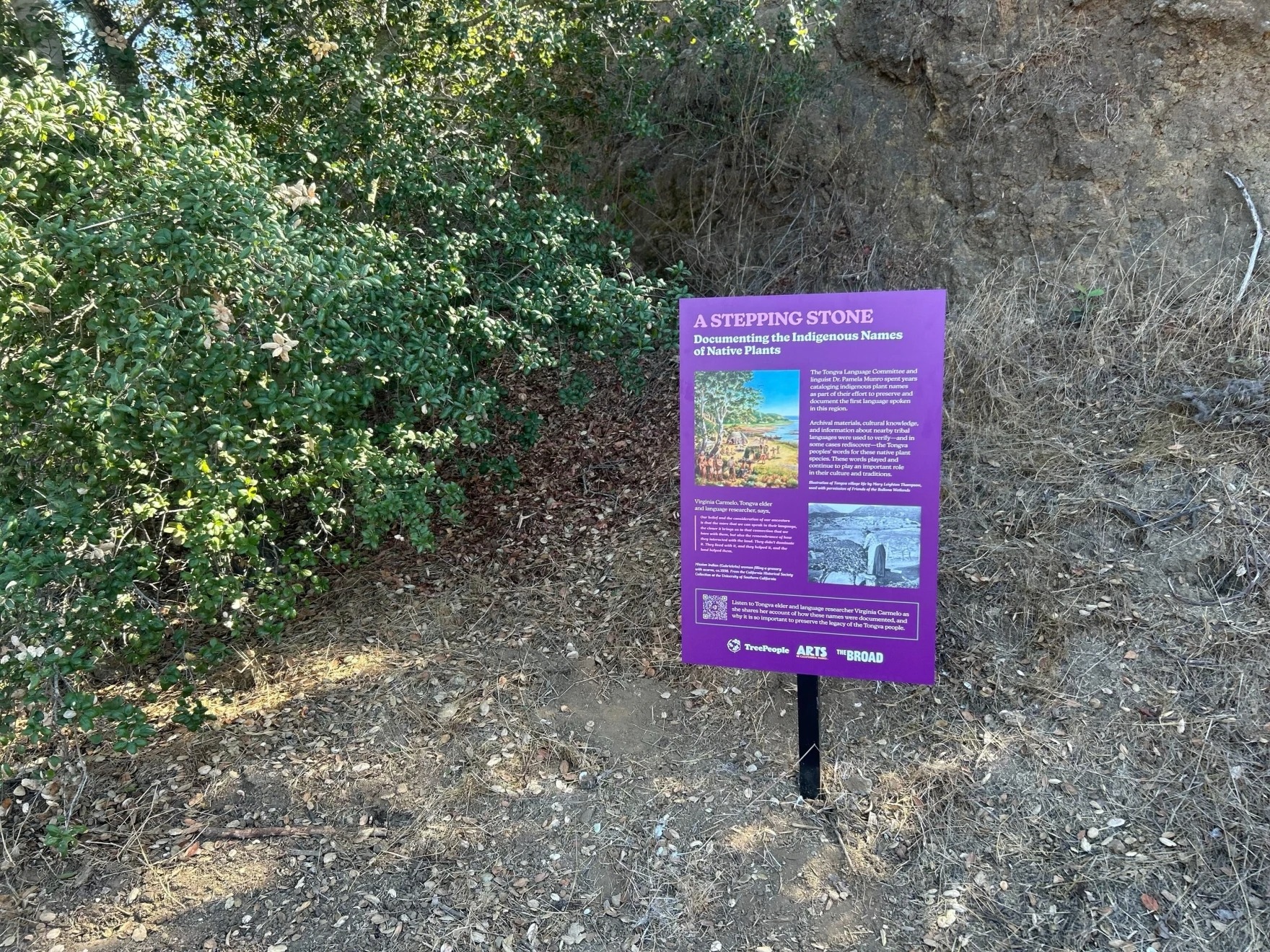 Something New at Coldwater Canyon Park