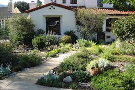 Lawn to Habitat