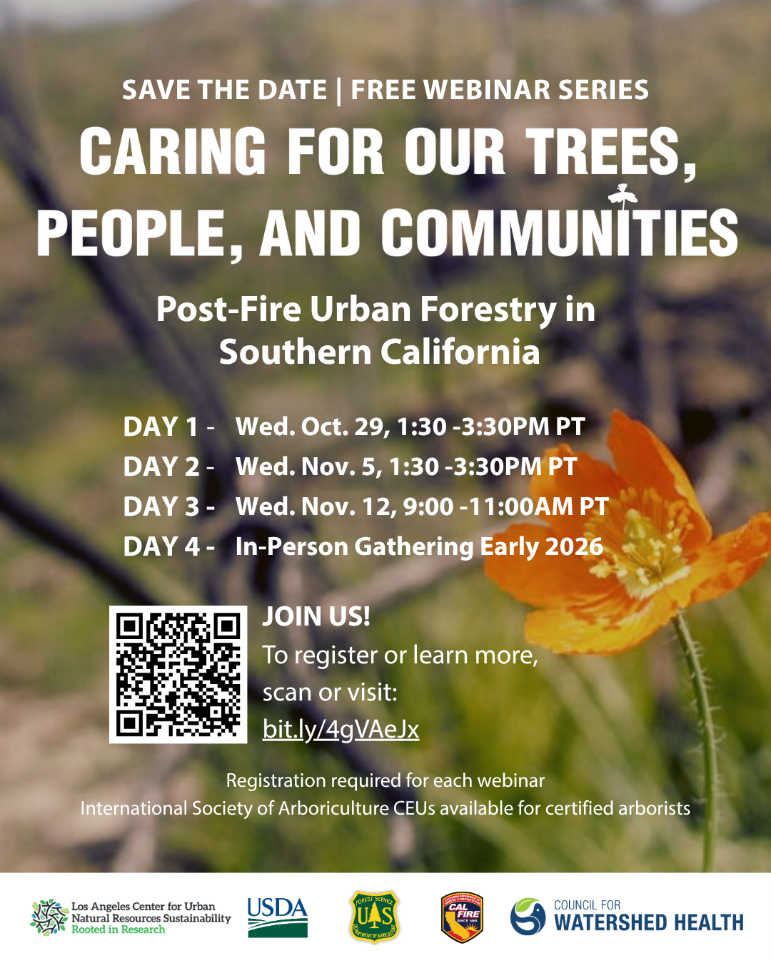 Caring For Our Trees